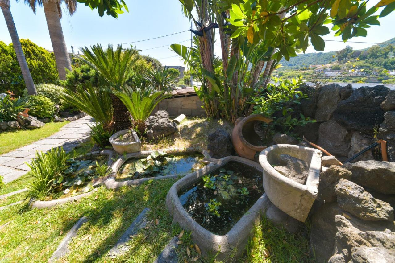 Villa Stefania Barano dʼIschia Eksteriør bilde