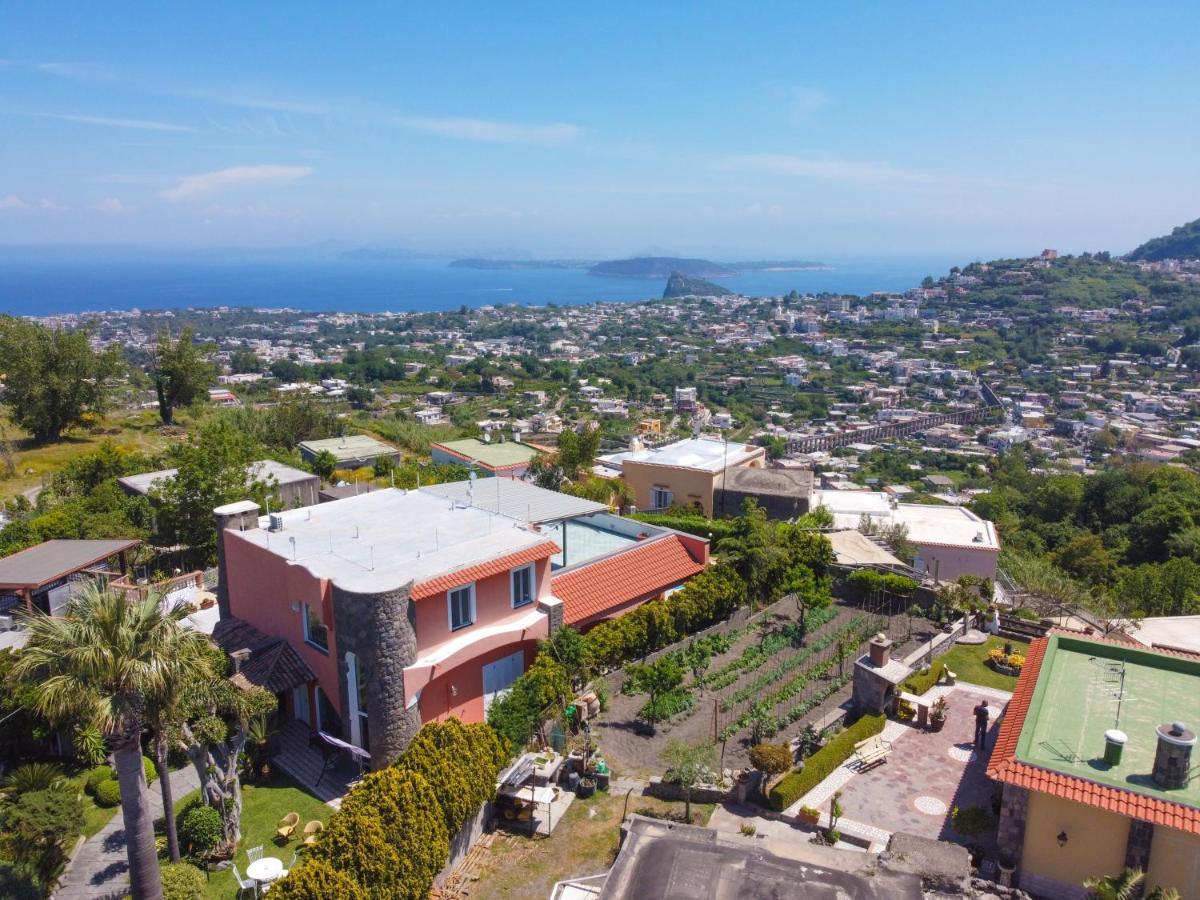 Villa Stefania Barano dʼIschia Eksteriør bilde